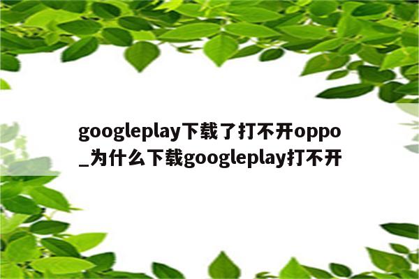 googleplay下载了打不开oppo_为什么下载googleplay打不开