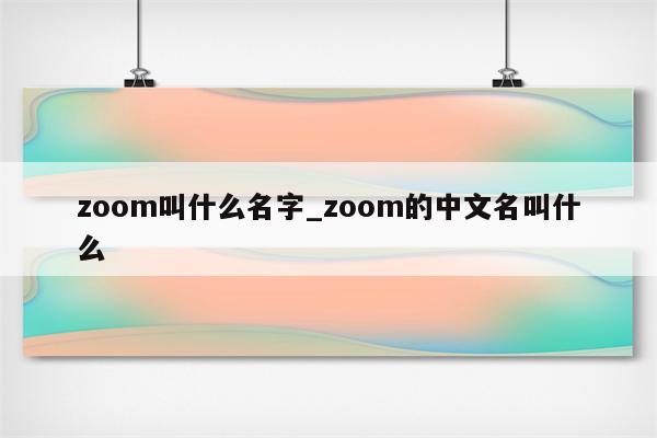 zoom叫什么名字_zoom的中文名叫什么