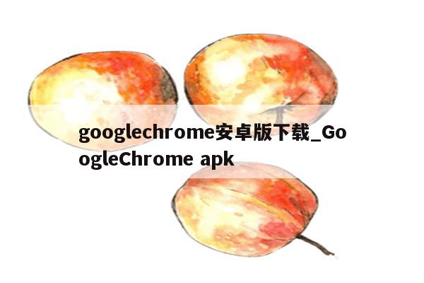googlechrome安卓版下载_GoogleChrome apk